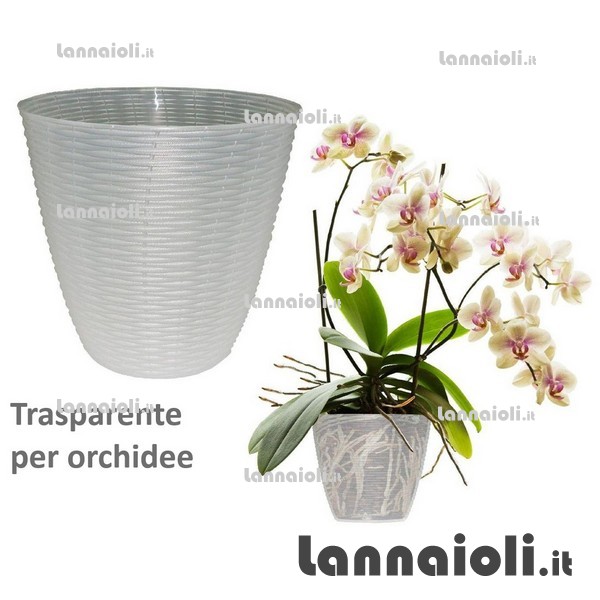 PORTAVASO PAGLIA CM.14 bama